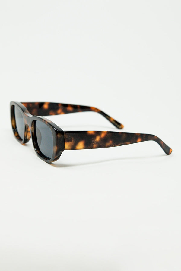 Oval Sunglasses With High Gloss Transparent Frames in Brown
